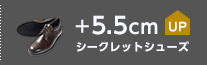 åȥ塼 +5.5cmUP