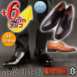 シークレットシューズ 就職活動