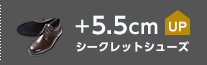 シークレットシューズ +5.5cmUP