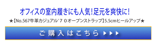 購入はこちらから