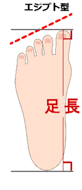エジプト型