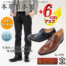 シークレットシューズ 就職活動