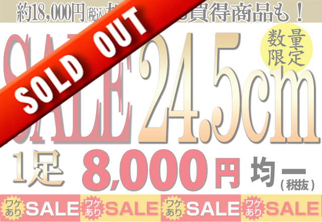2017sale24.5完売