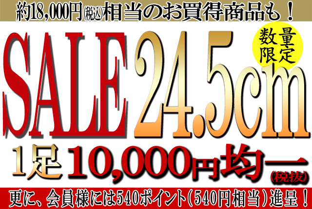 1万円均一SALE　24.5ｃｍ