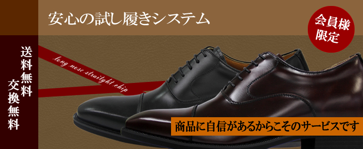 試し履きシステム